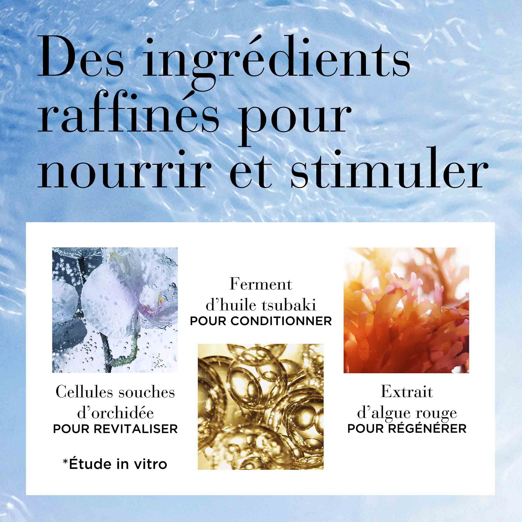 Ceramide Micro-Capsules Essence Regénératrice - Image 6