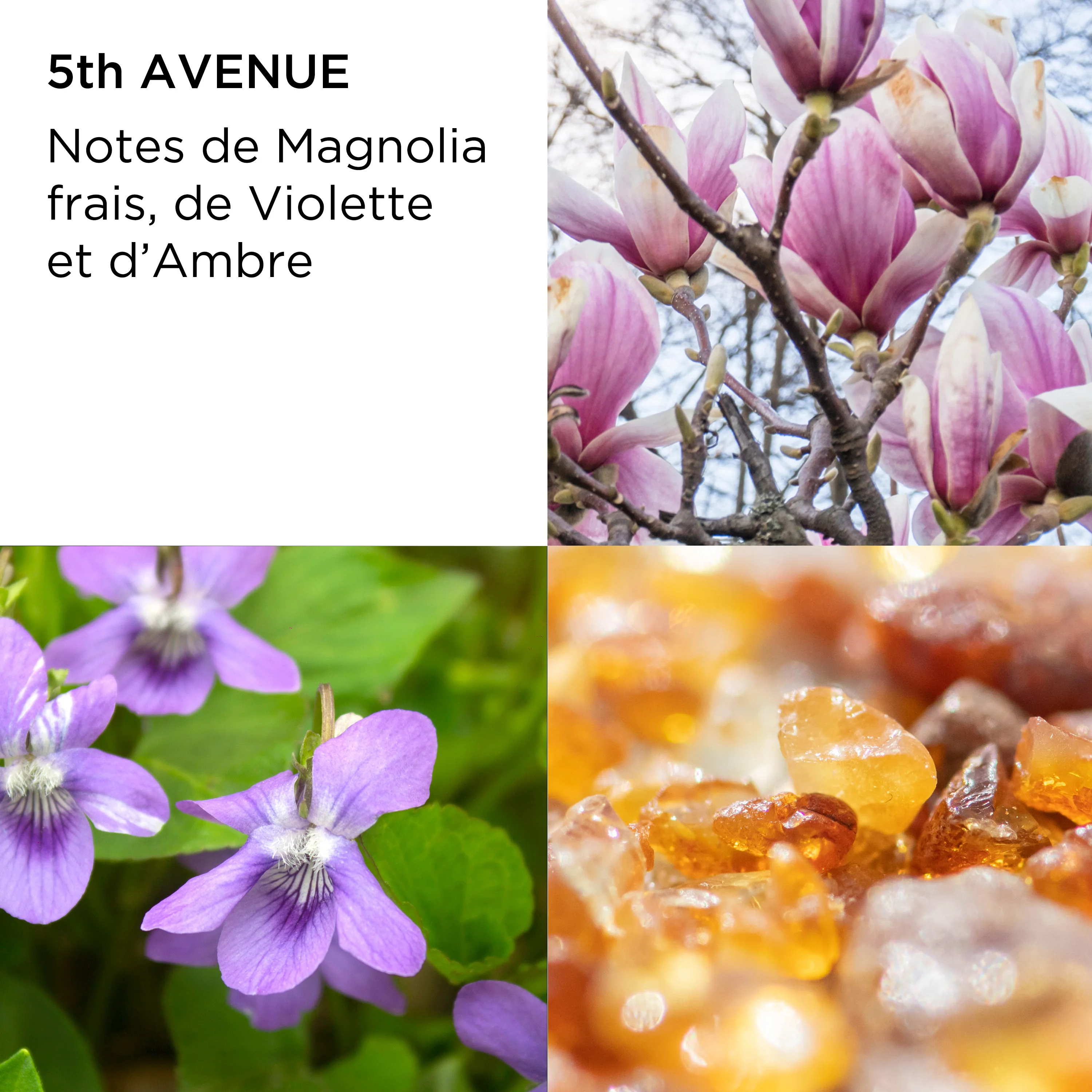 Coffret Eau de Parfum 5th Avenue, Lait Hydratant & Crème Nettoyante Hydratante Corps - Image 3