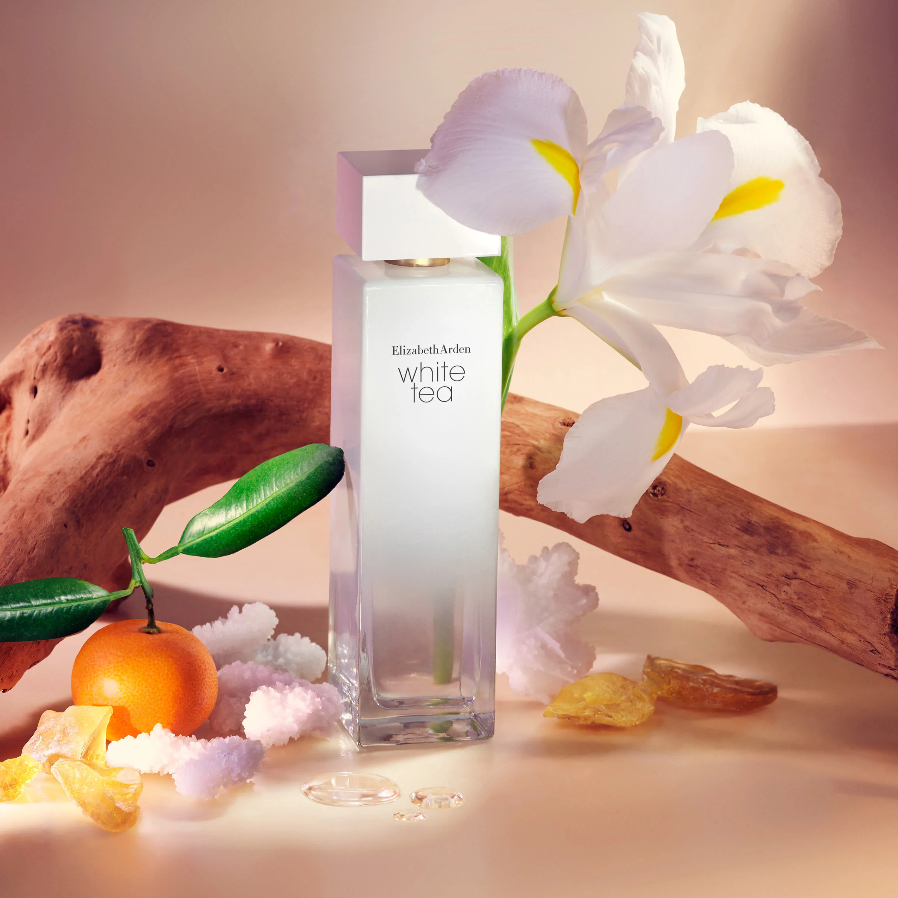 White Tea Eau de Toilette Vaporisateur - Image 4