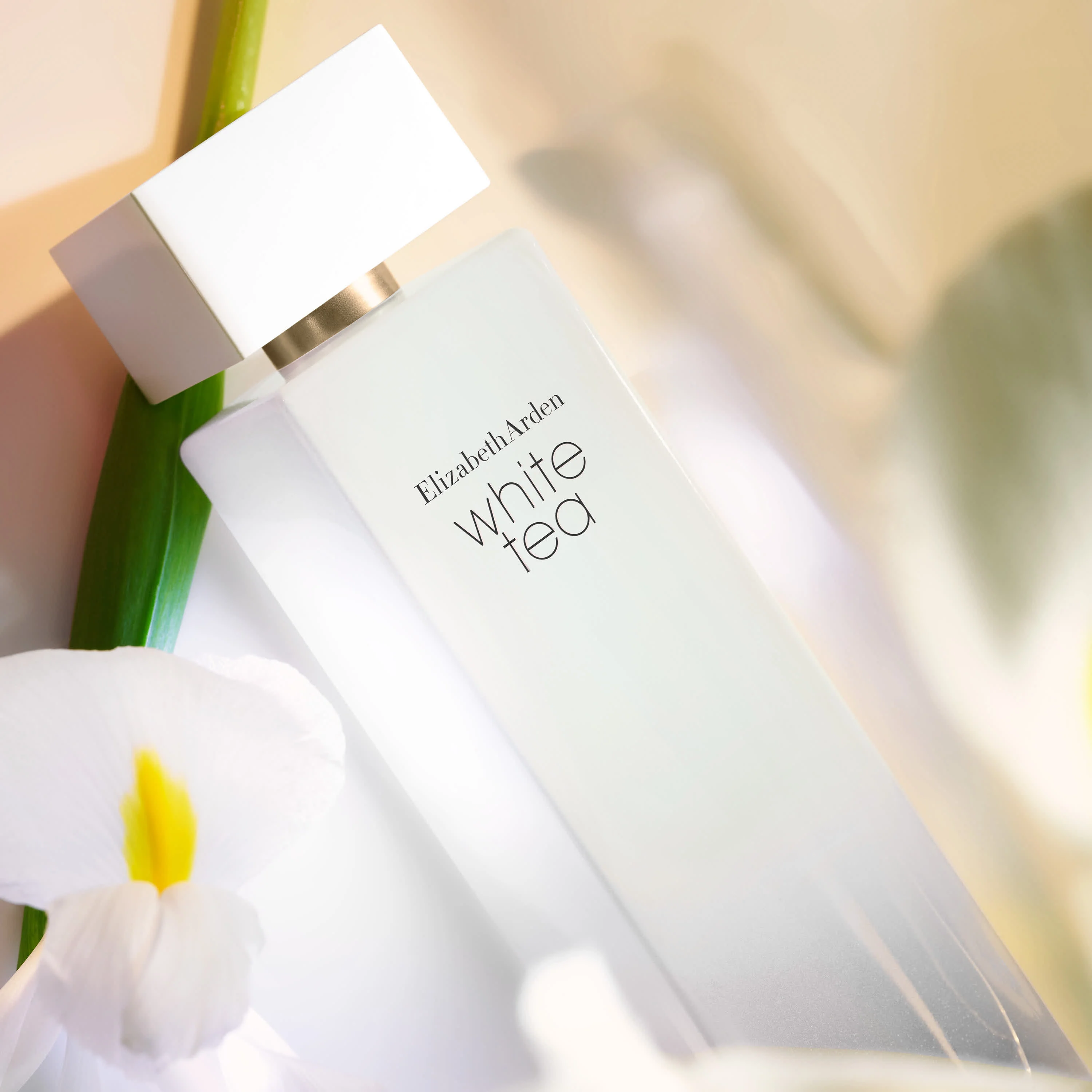 White Tea Eau de Toilette Vaporisateur - Image 8