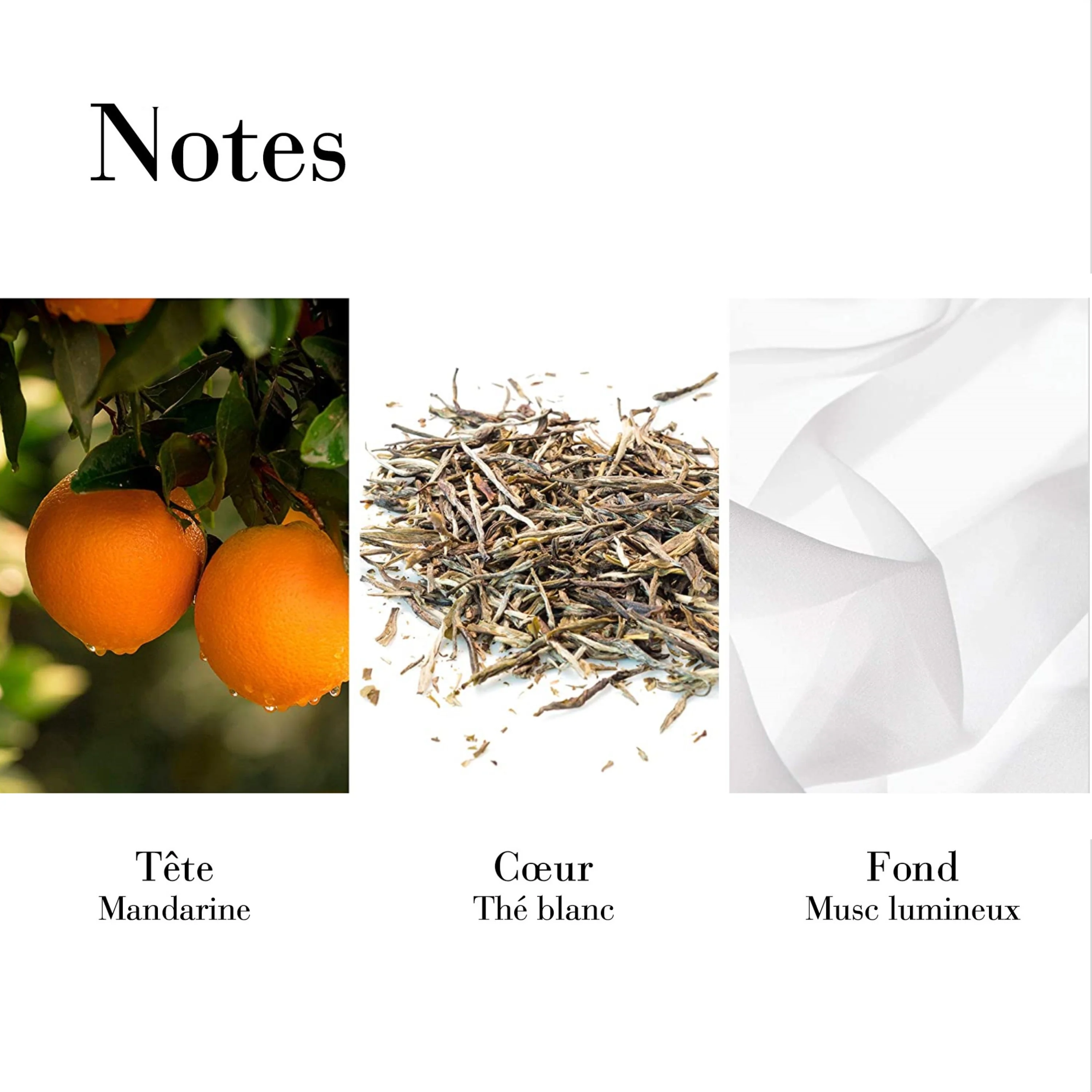 White Tea Mandarin Blossom Eau de Toilette Vaporisateur - Image 6