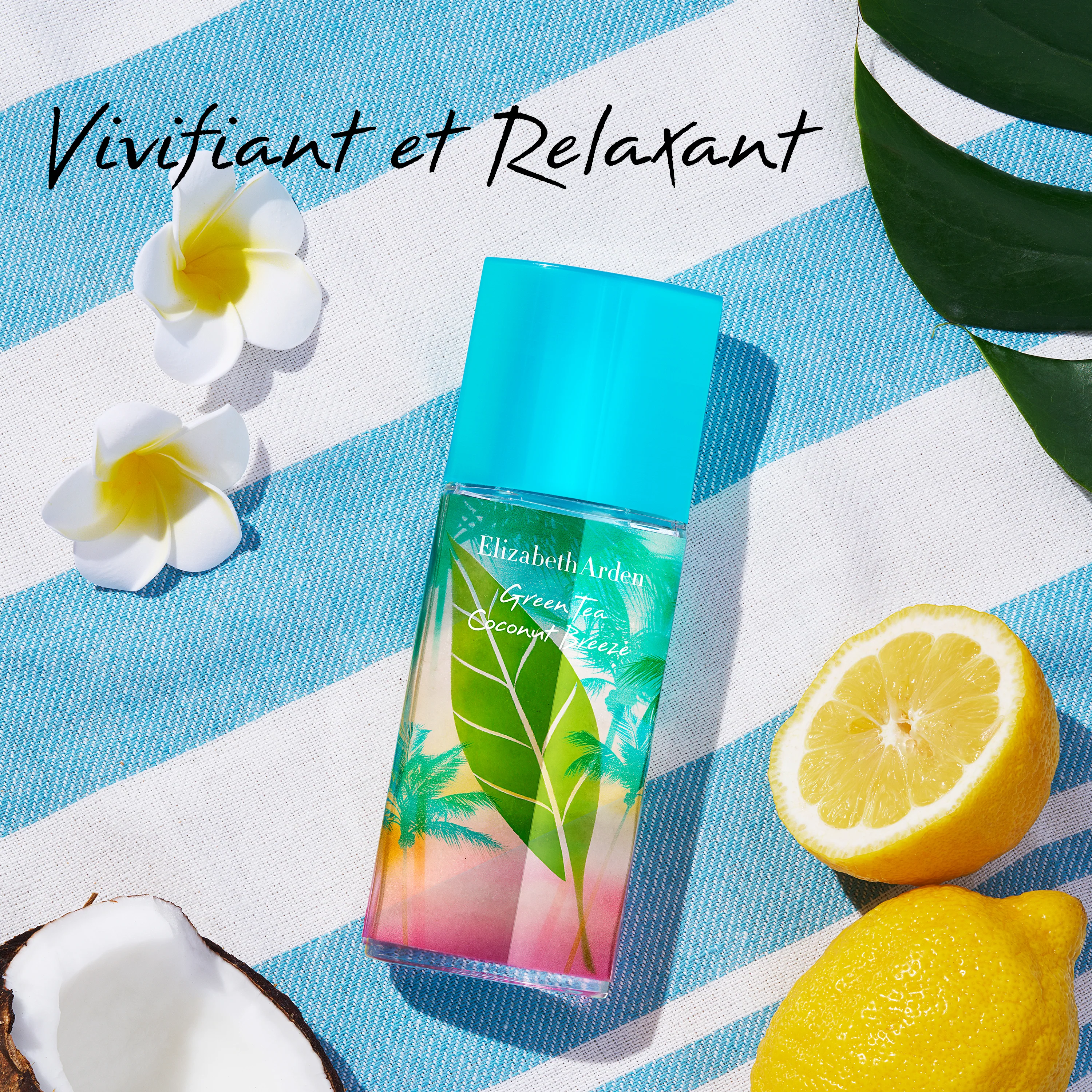 Green Tea Coconut Breeze Eau de Toilette - Image 5