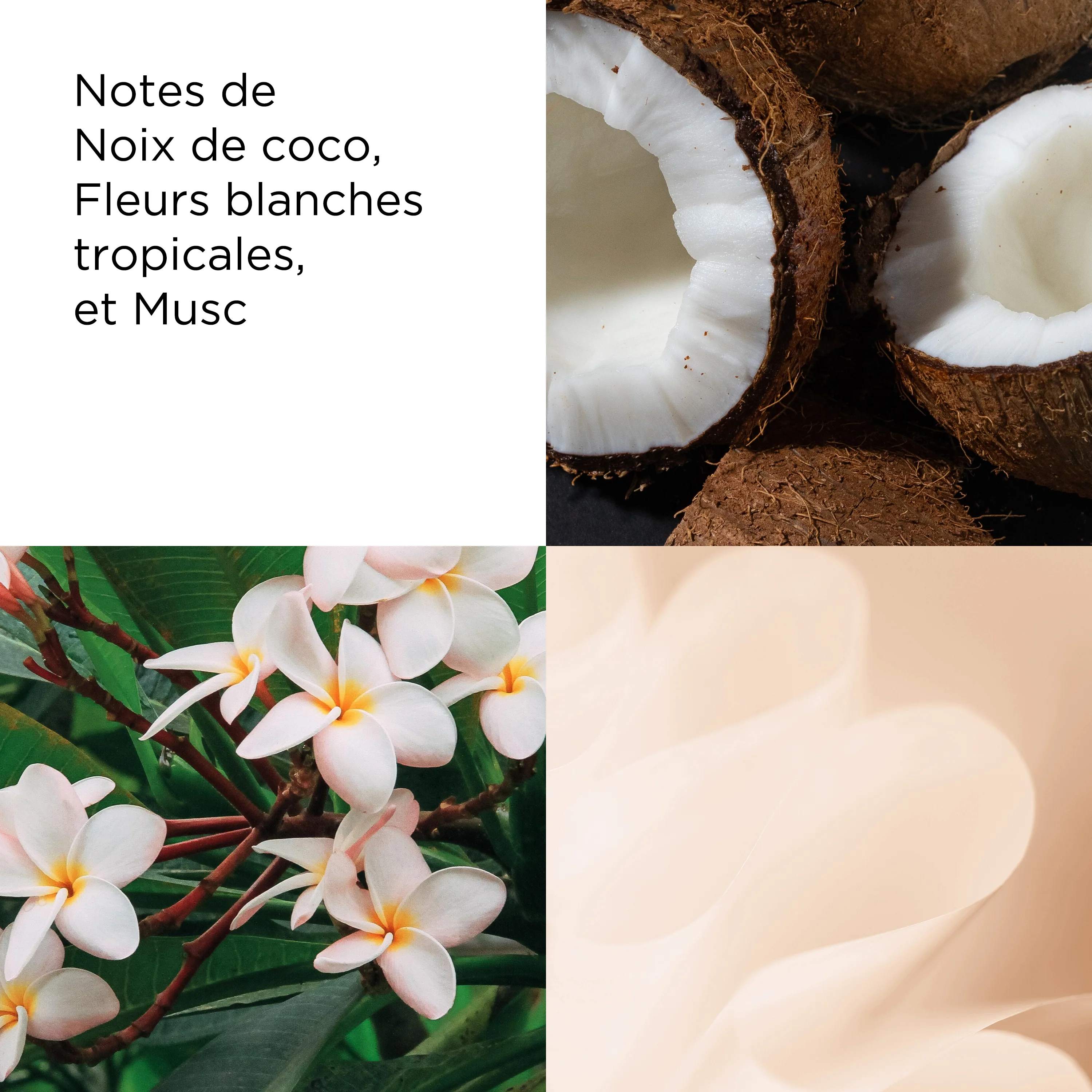 Elizabeth Arden Green Coconut Breeze Tea Crème Nectar au Miel pour le Corps - Image 5