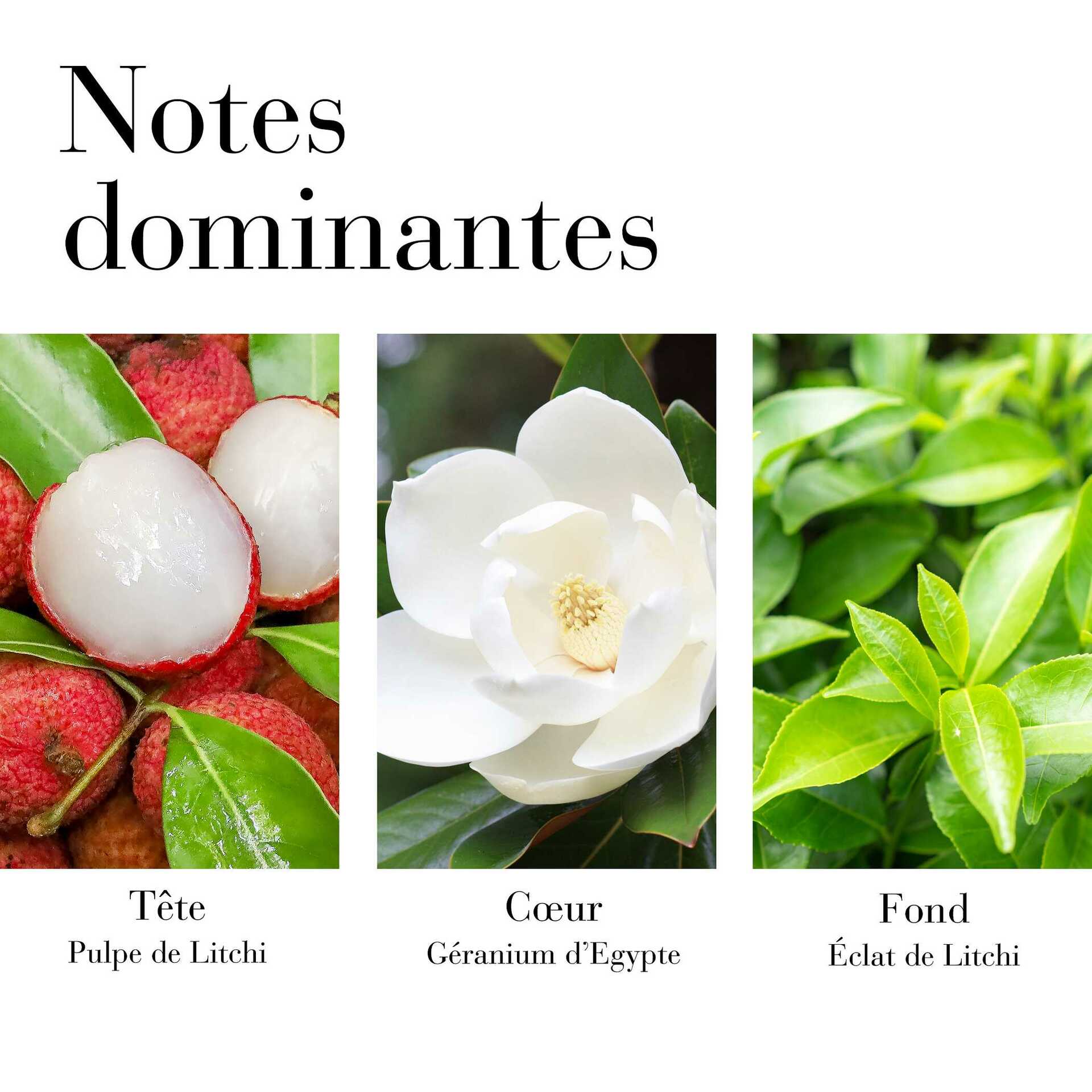 Green Tea Lychee Lime Eau de Parfum Vaporisateur - Image 3