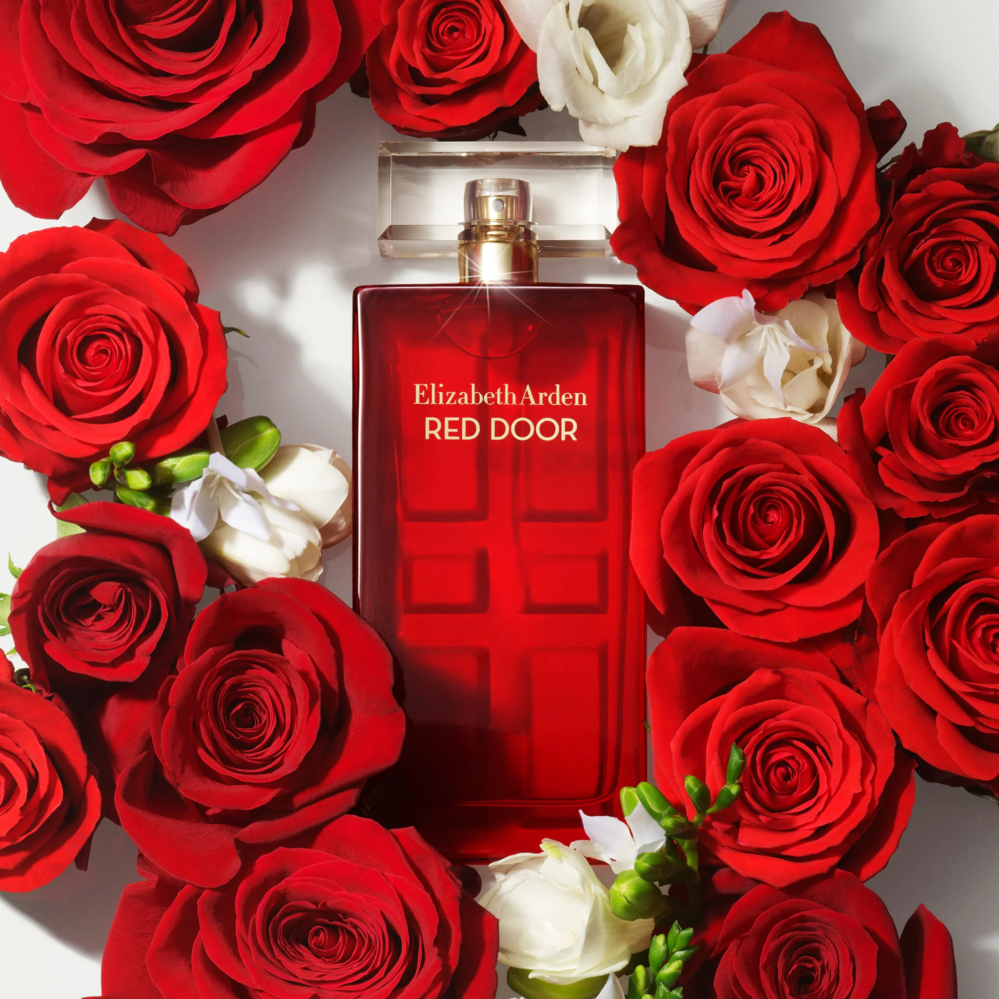 Red Door Eau de Toilette Vaporisateur - Image 5