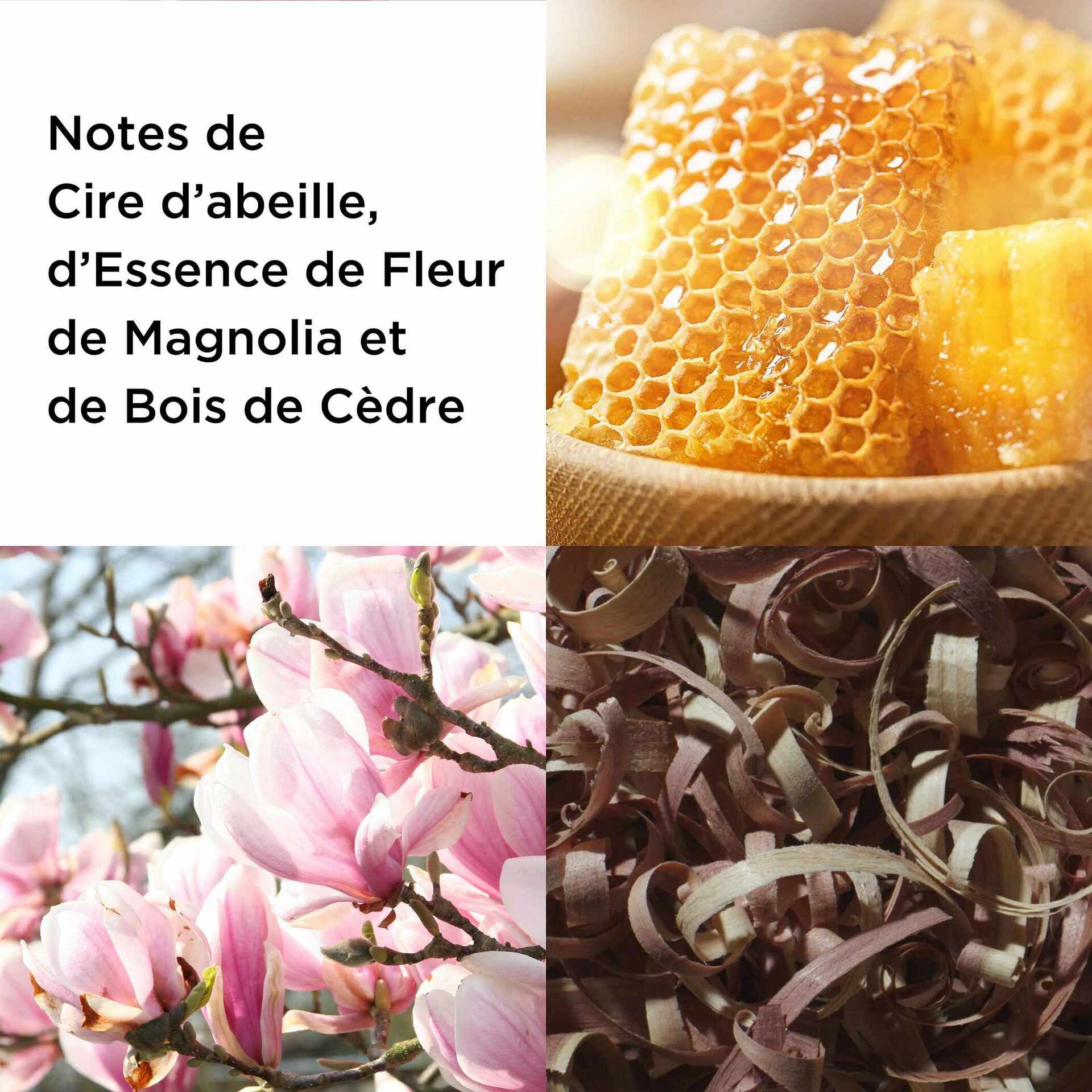 Sunflowers HoneyDaze Eau de Toilette Vaporisateur - Image 3