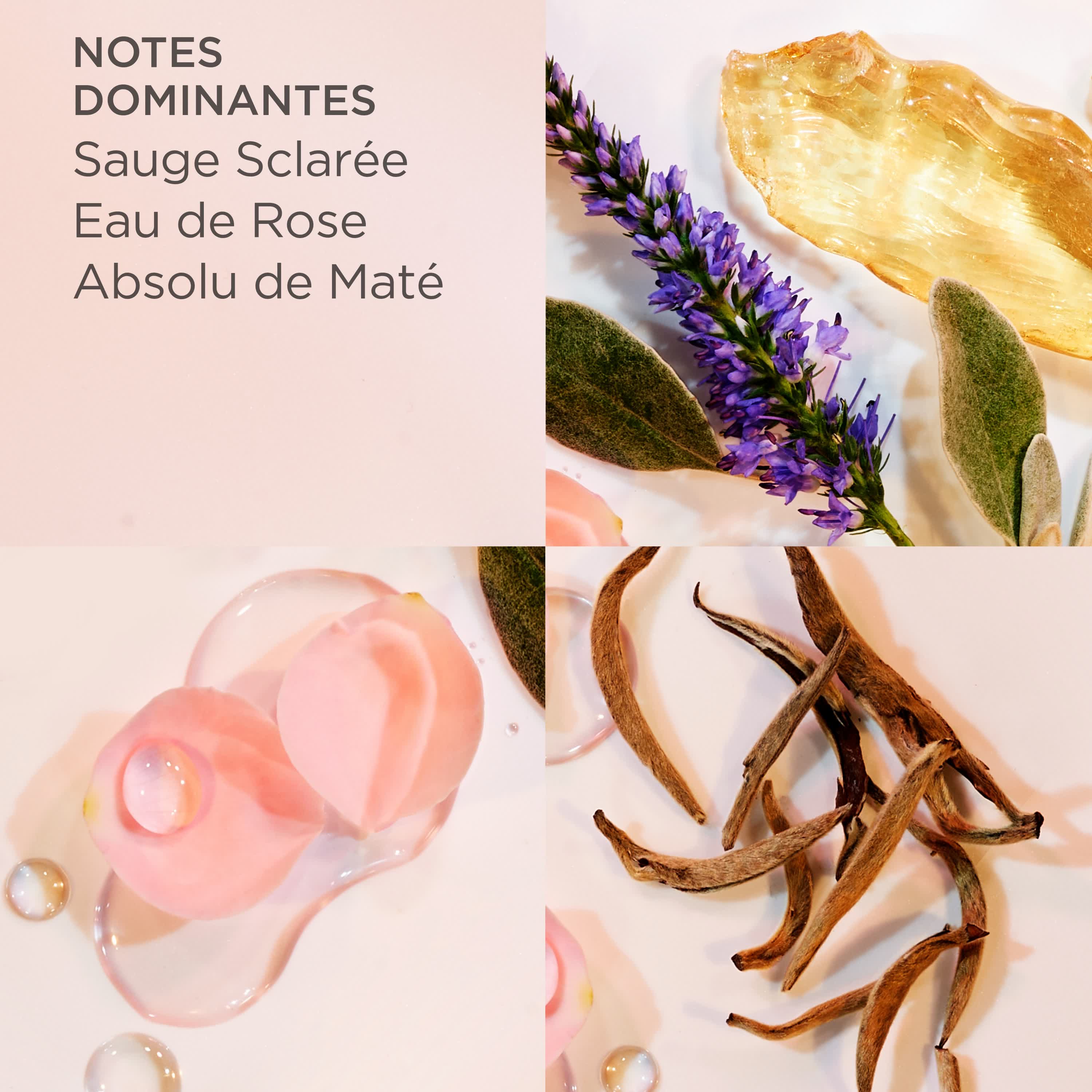 White Tea Eau de Parfum - Image 7