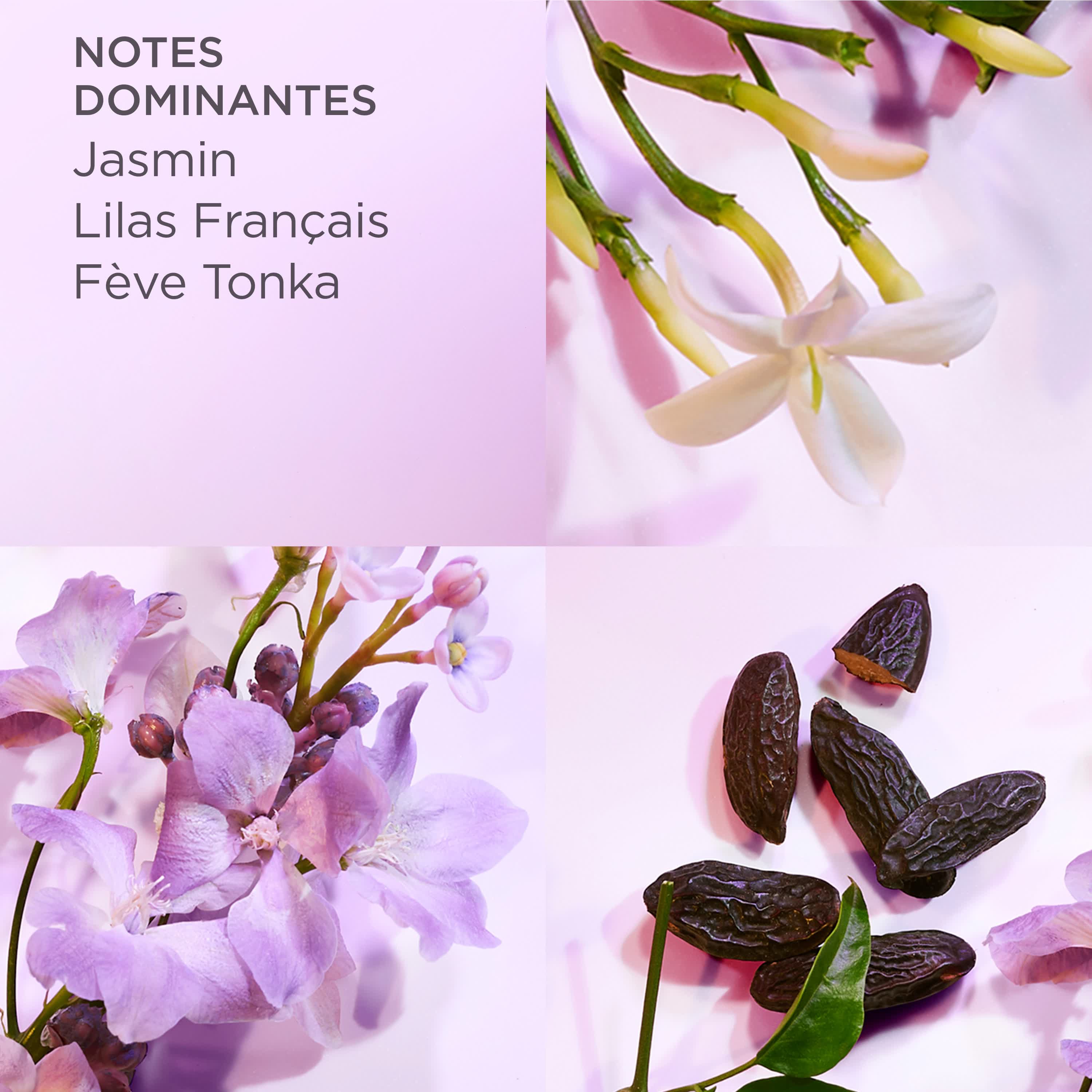 White Tea Eau Lilac Eau de Toilette - Image 8