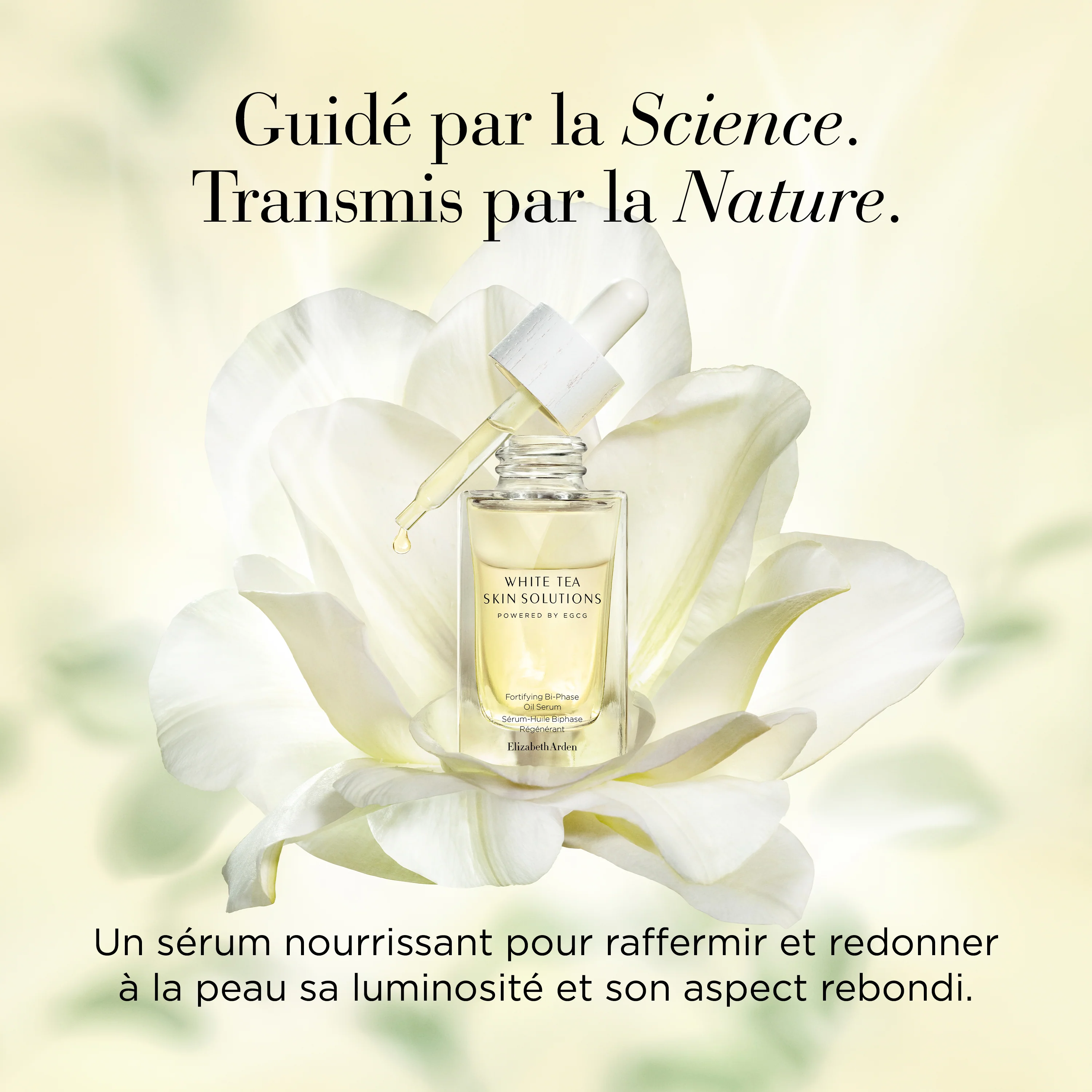 White Tea Skin Solutions Serum Huile Biphasé Régénérant - Image 3