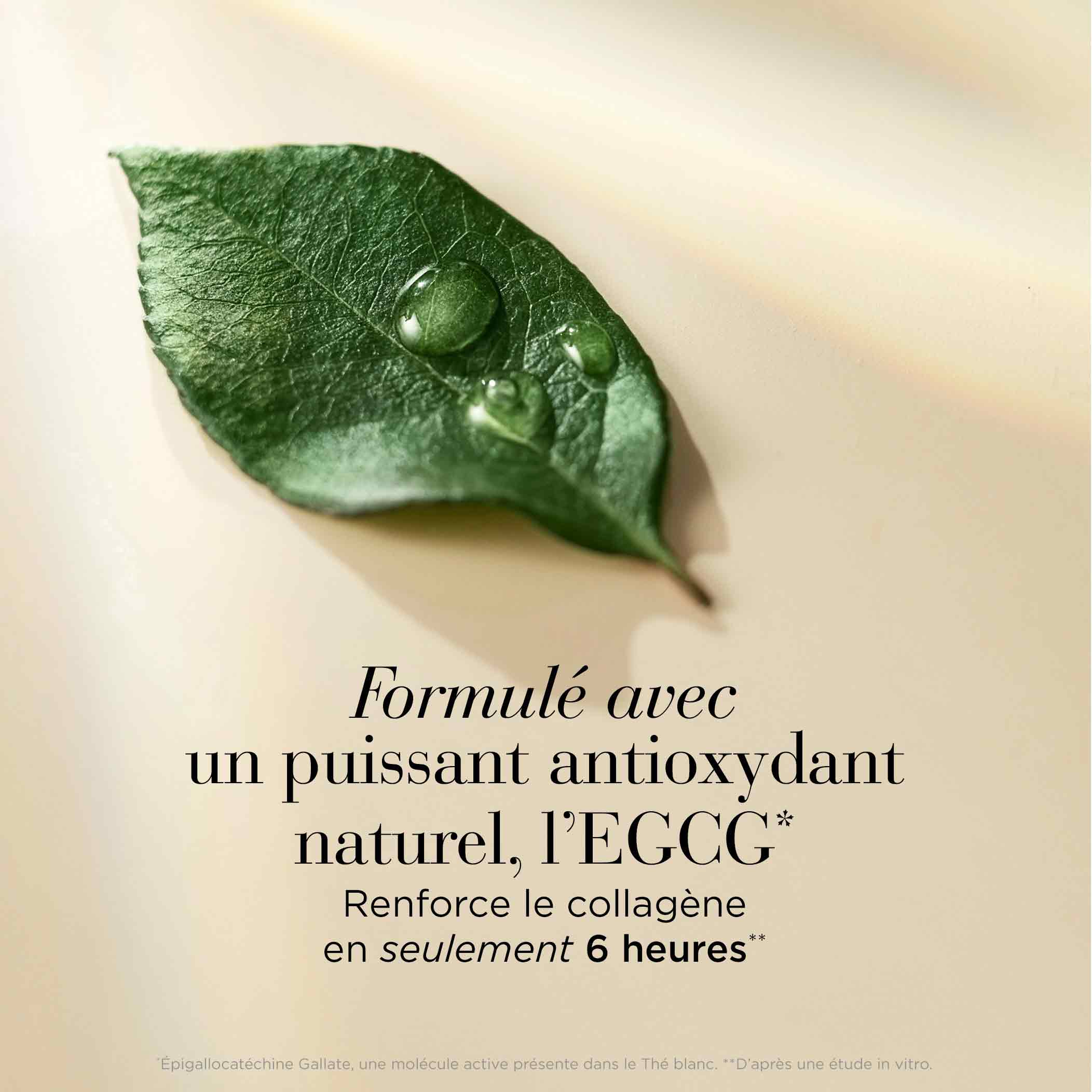 White Tea Skin Solutions Crème Micro-Gel Régénérante - Image 5
