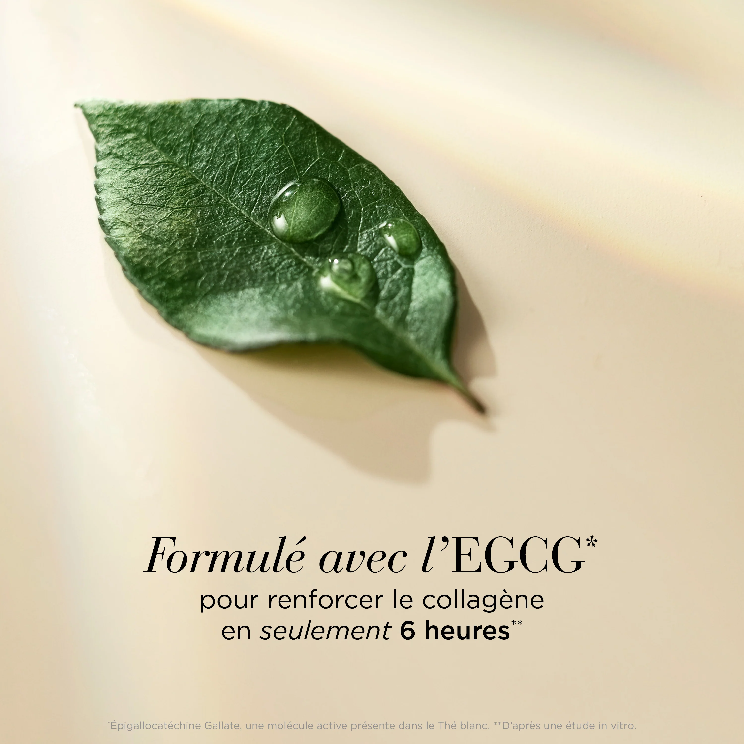White Tea Skin Solutions Nettoyant Purifiant Doux - Image 3