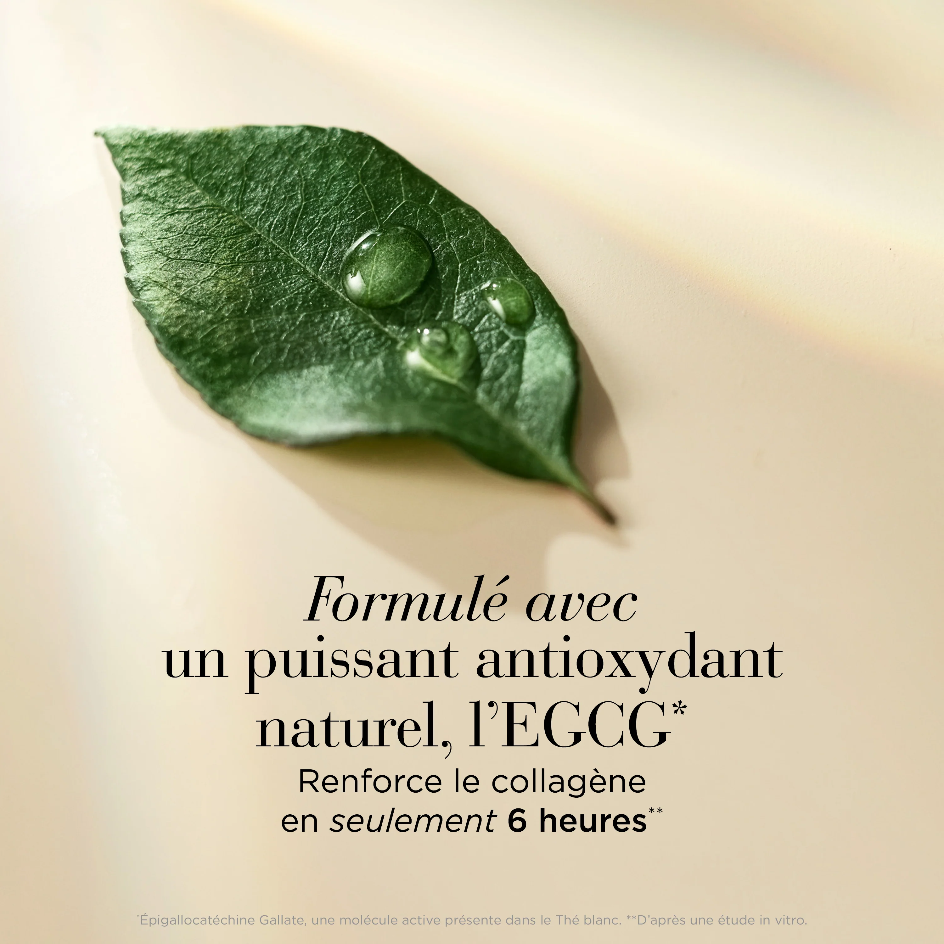White Tea Skin Solutions Gel Eclat Contour des Yeux - Image 5